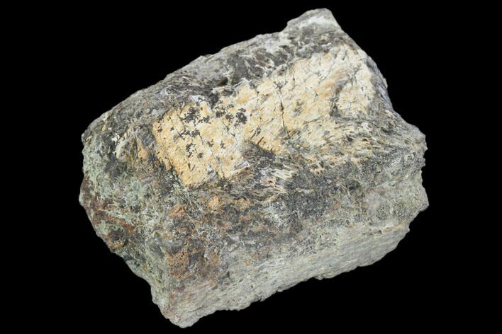 Hadrosaur Bone Fragment - Montana #103181